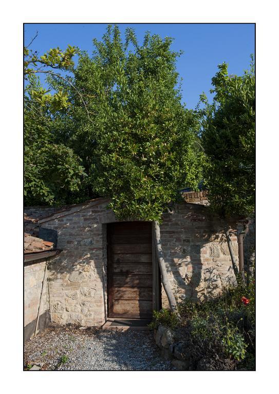 سيينا B&B Casale Virgili المظهر الخارجي الصورة