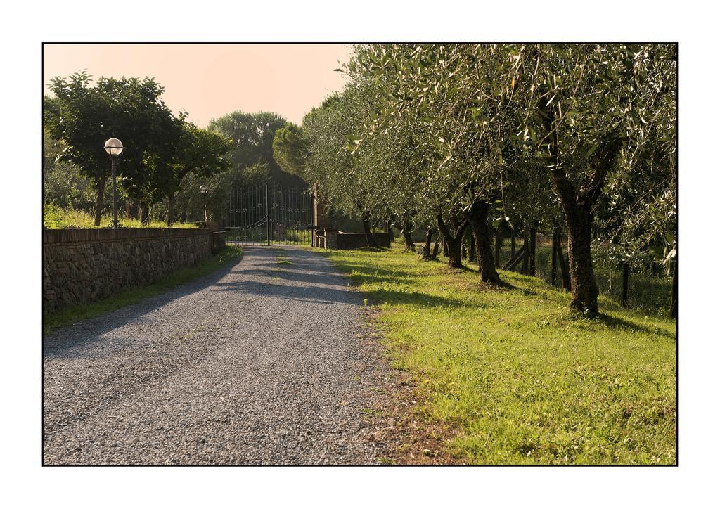 سيينا B&B Casale Virgili المظهر الخارجي الصورة